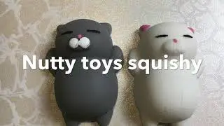Nutty Toys Squishy Cat Set