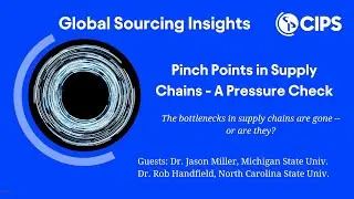 Global Sourcing Insights: Pinch Points in Supply Chains &ndash; A Pressure Check | CIPS