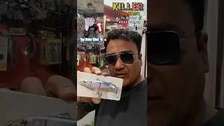 Top water WHOP PLOP action lure/Mahseer Snakehead Fishing Whopper plopper/Topwater Killer lure Baits