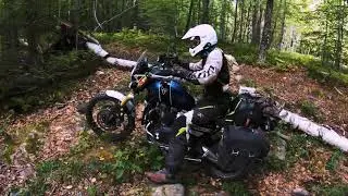 NEBDR Sections 3-5 : Triumph Scrambler 1200 XE & Honda CB500x