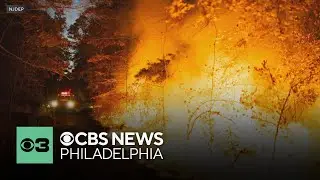 Halloween wildfire in Downe Township, New Jersey has burned 110 acres