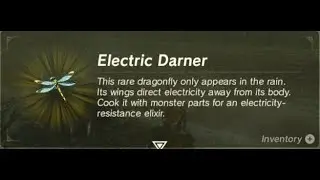 Electric Darner / Thunderwing Butterfly | Farming Location #1 | Zelda BOTW