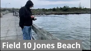 Field 10 / Jones Beach NY  / Fishing on the Pier #nyfishing #pierfishing#sabikifishing