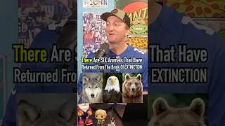 Name The 6 Animals That Returned From Near Extinction! #shorts #animals #extinction #cats #tigers