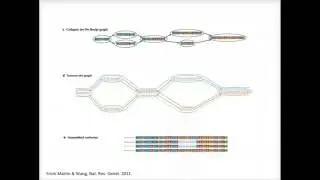 BroadE: The General Approach to De novo RNA-Seq Assembly Using De Bruijn Graphs