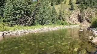 Alberta fly fishing July 24, 2023