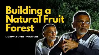 Building a Natural Fruit Forest - Living Closer To Nature | Farmizen On The Road - Season 1 Ep 5