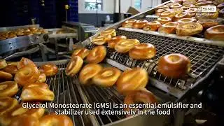 Five Must-Know Factors for Selecting an Excellent Glycerol Monostearate Supplier
