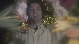 Neumatic Parlo - Real Insight (Music Video)