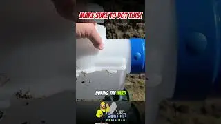 DIY Catch Basin Installation Drainage Tips