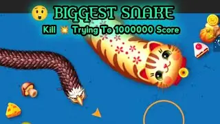 Worms Zone Live | Score 1000000 Trying | Game of Earthworms | HunterXLive 