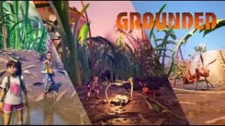 3Percent Ninja Plays -Grounded - time to explore