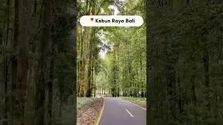 5 Tempat Wisata Bedugul Tabanan Bali