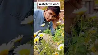 PLANT'S ALSO BREATH 😱|Real life science #viral #youtubeshorts #science #jeemain #class12 #iitjee