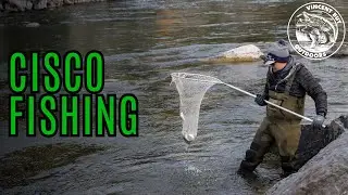 Cisco fishing = Giant Lake Trout and Pike! | Tartan Rapids NWT
