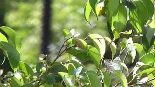 Amazing Nature Scenery | The Breathtaking Beauty of Nature| Beautiful Nature View||Nature Relaxation