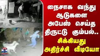 Salem | Theft | நைசாக வந்து ஆடுகளை அபேஸ் செய்த திருட்டு கும்பல்.. சிக்கியது அதிர்ச்சி வீடியோ