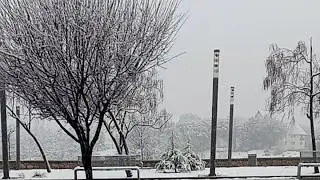 من افران 2/2/2026 اي غنم افضل 🐑🐏🐑 صردي.برگي.بجعدي.جبلي.دمان.... ؟