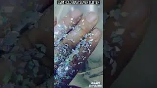 2MM Hologram Silver Glitter