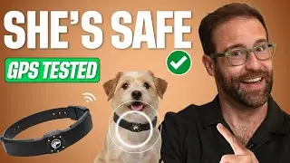 SpotOn Fence Review: Nova Unboxing &mdash; Is This the Best GPS Dog Fence Yet?