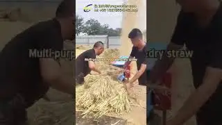 5 Ton Per Hour Chaff Cutter Machine Chopping Yellow Dry Rice Straw