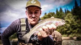 TRUITE arc-en-ciel à la rivière Nicolet! On fini ça avec une pêche en groupe! Pêche à la mouche.