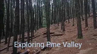 Exploring Pine Valley || Vagamon || Idukki || Shashanth Vlogs