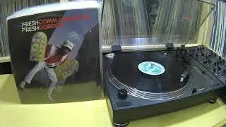 Fresh Gordon - The Fresh Commandmets