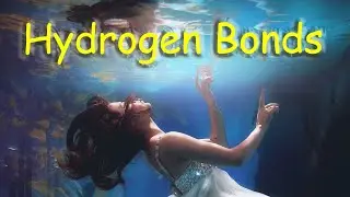 Hydrogen Bonds - Organic Chemistry