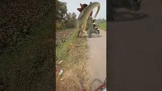 mawakalipothundhi #trending #automobile#cartoon#funny #shorts#doglover #cute #love #puppy#viralvideo