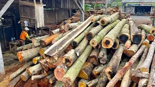 FANTASTIC!! The Skill of Sawing Two Types of Super Hard Wood Quickly and Accurately