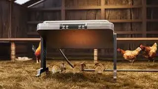 Magicfly Smart Chicken Coop Heater Auto Temperature Control