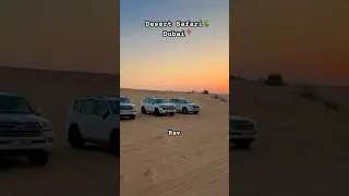 Desert Safari🌵|Dubai📍#habibicometodubai #desertsafari #dubai #dubailife #sunset #dubailifestyle