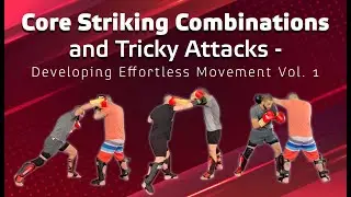 What is the best Striking Art ? and much more - AMA 75 Coach Zahabi