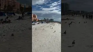 Incredible day at Clearwater beach! #beach #florida #clearwater
