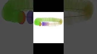 Day 2 &ndash; Bouncing Ball + Pendulum Animation | Tyrex Animations #Shorts