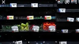 Starvation is Coming They Are WARNING Us Food Shortage Crisis Worsening by The Summer