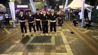 PSSCM Martial Arts demonstration