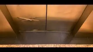 19.5:9: International Hydraulic Elevator At Dillard's Chandler Fashion Center - Chandler, Arizona