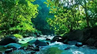 Nature&rsquo;s Pulse &ndash; River Flow for Focus, Sleep, and Healing | Sacred Stream Echoes