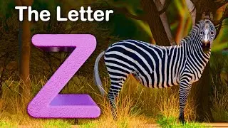 The Letter Z