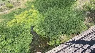 A Look At Large-Scale Green Infrastructure with Joaquin