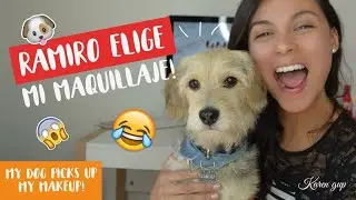🐶 MI PERRO ELIGE MI MAQUILLAJE!!! 😂 #RETO 🔥 (My dog picks up my makeup) Karen Gup