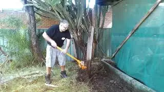 How to remove old wooden pole fence in your garden in less three minutes.