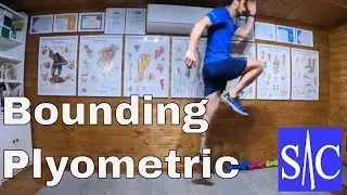 Bounding plyometric exercises