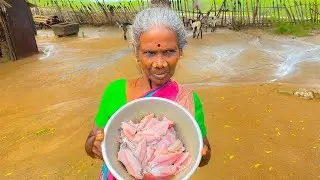 Pond Water Fish Cooking Fish Gravy in our Village | Country Fishing |Amma | Village |golyf