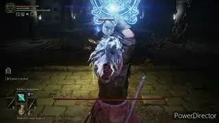 Elden Ring - How to beat Cemetery Shade