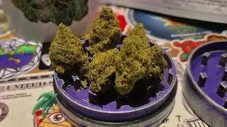 Peace Naturals&reg;&nbsp;SLF T34 Sonic Lemon Fuel Medical Cannabis Flower