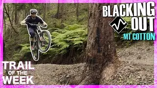 Mt Cotton's best trail // BLACKING OUT // Trail of the Week