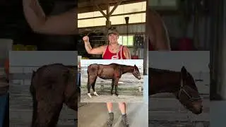 Asking our Staff for their Favorite Horse Transformations?